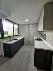 Twin Fountains (D25), Condominium #532199251